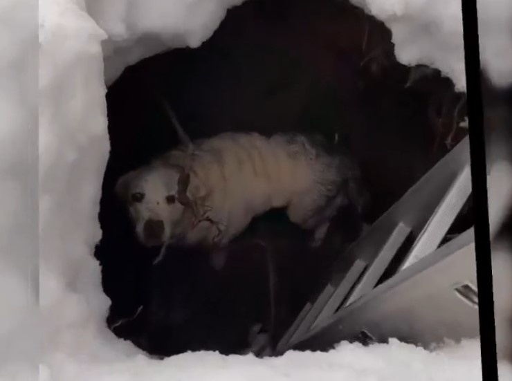    Фото и видео: МАСС