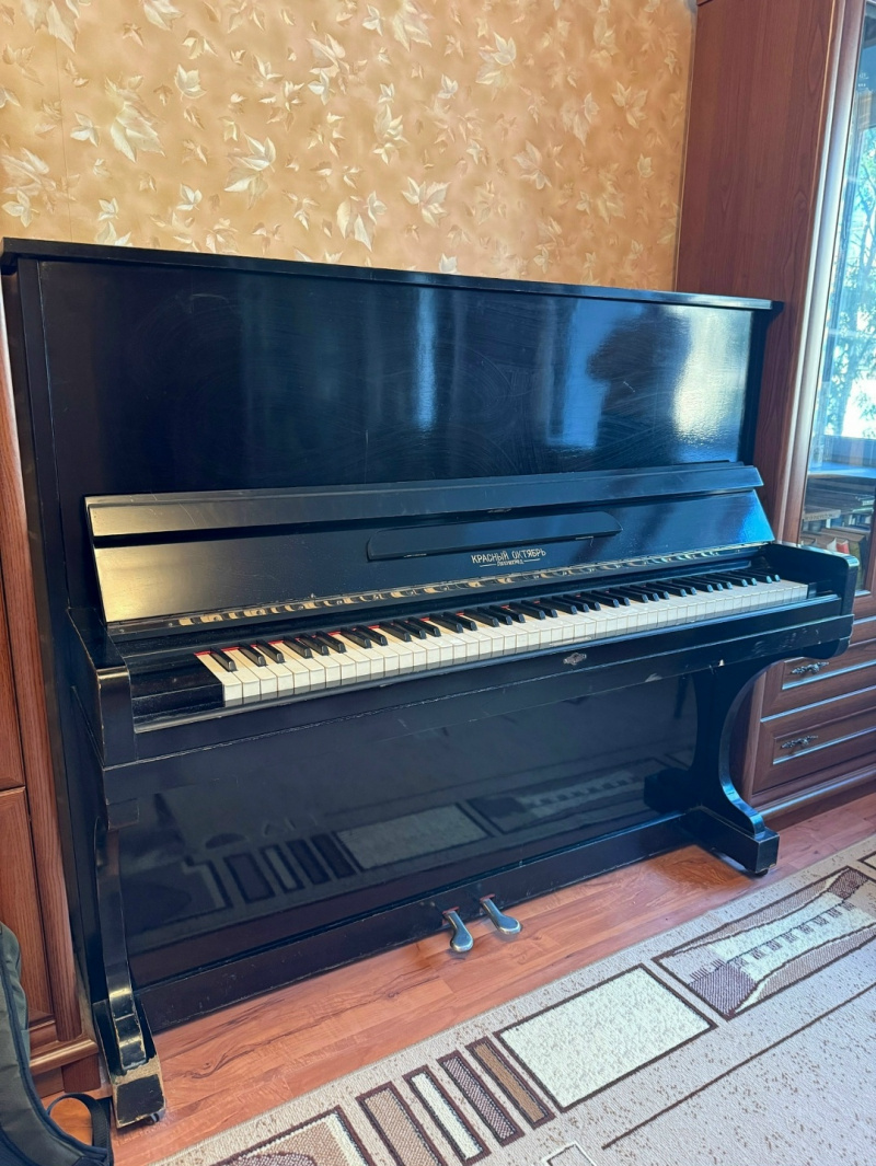    Жителей Петрозаводска просят выбрать цвет пианино в ротонде Открытое пианино в ротонде / ВК