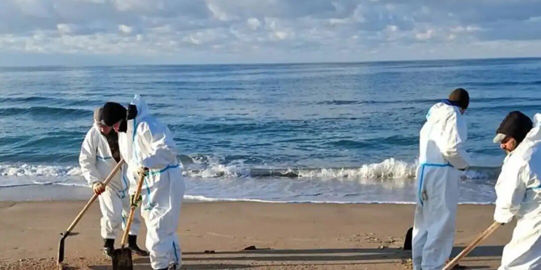 Эколог Шкрадюк: слова вице-премьера о готовности Анапы к открытию пляжей далеки от реальности