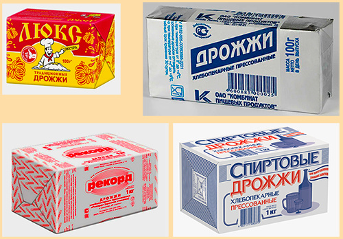 Брага, сырые дрожжи для самогона.