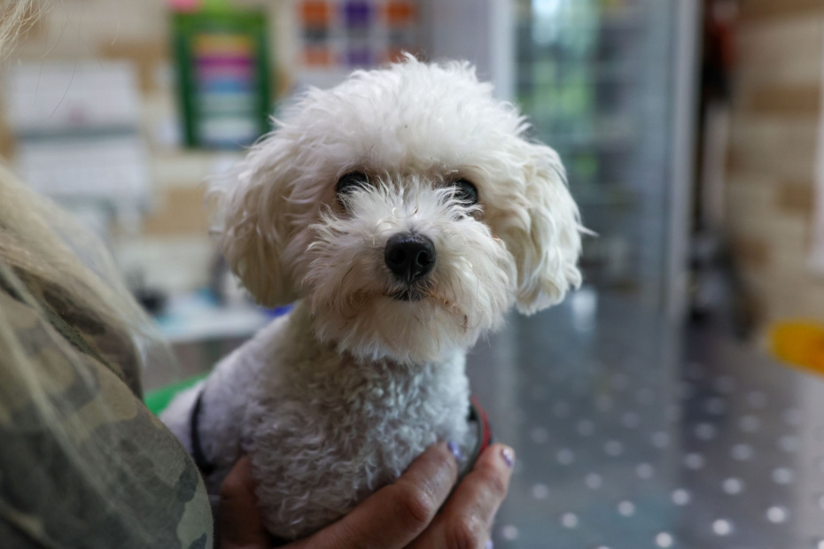    Сергей Петров/NEWS.ru