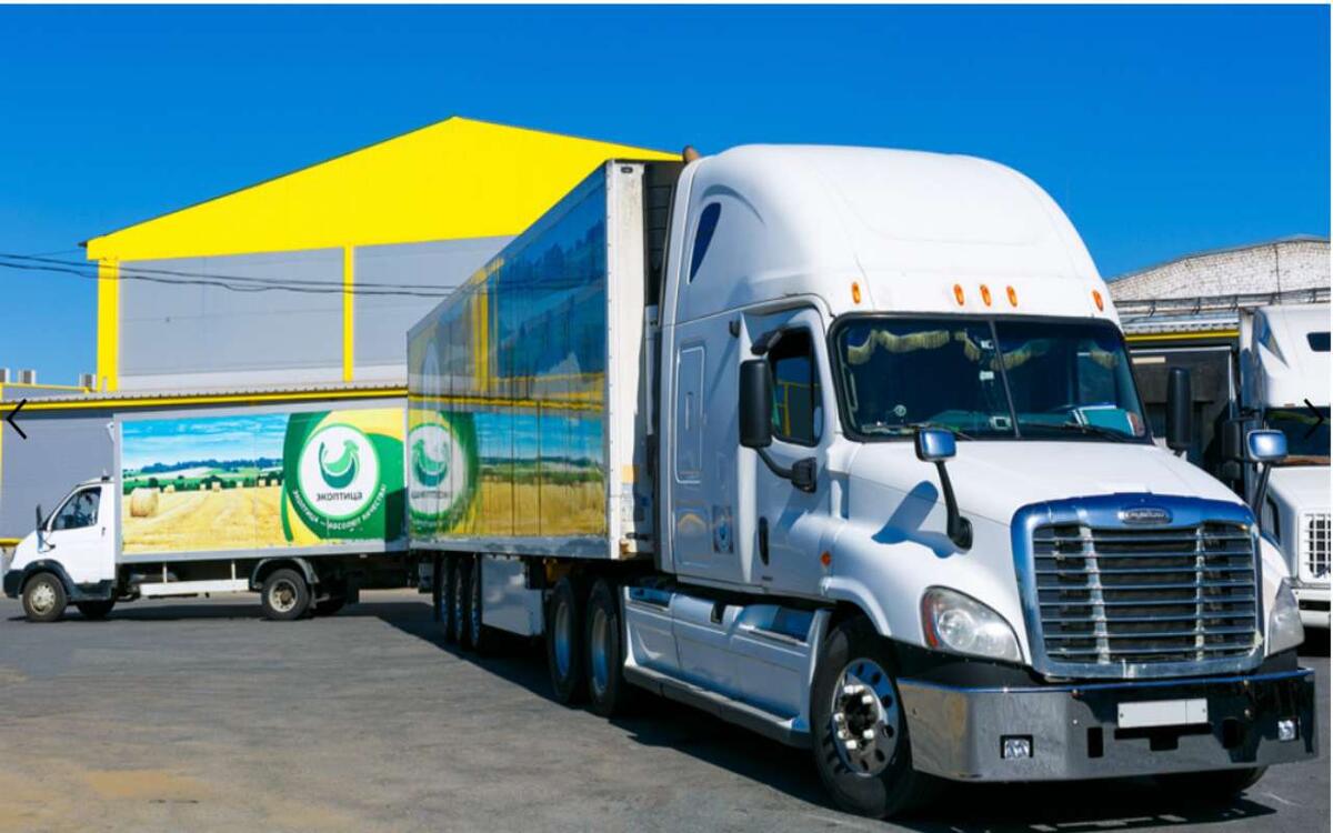    Липецкая «Экоптица» ушла в убыток от продаж на 2,5 млн рублей Фото с сайта компании