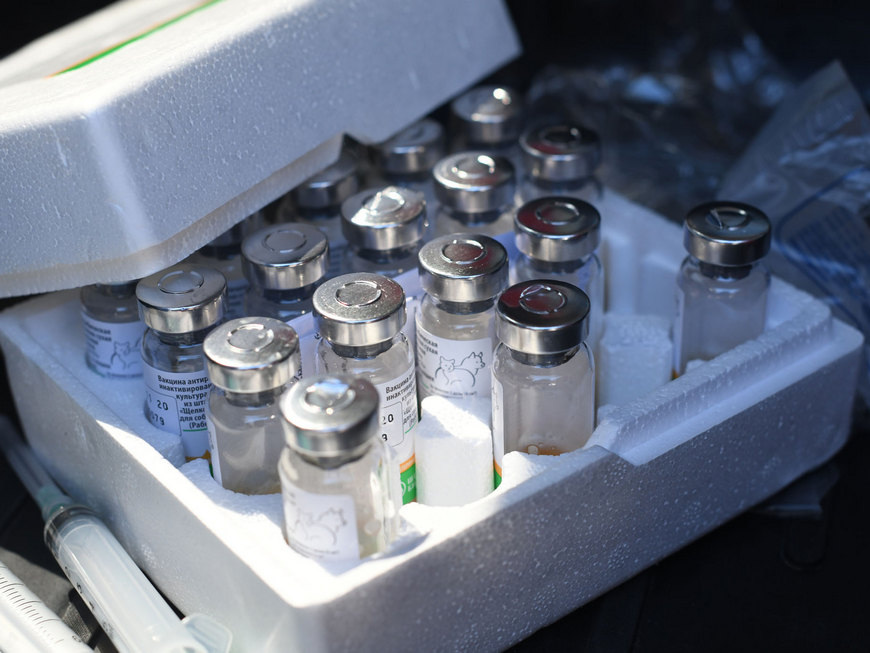 Фото: Денис Гордийко