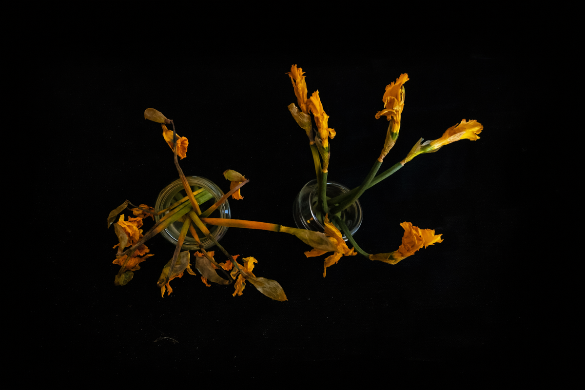 Цветы с двух обложек «Барто» — это отдельная история. 