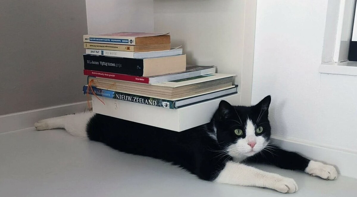 источник Яндекс-картинки