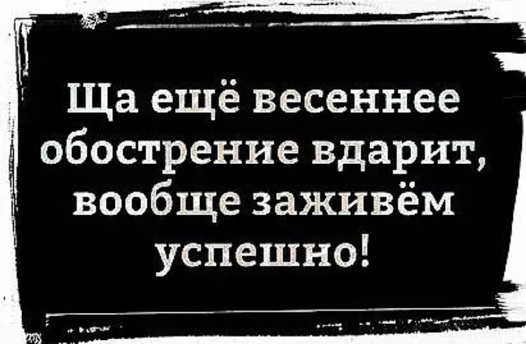 Шутка минутка. Источник изображения: https://clck.ru/3SnHtx