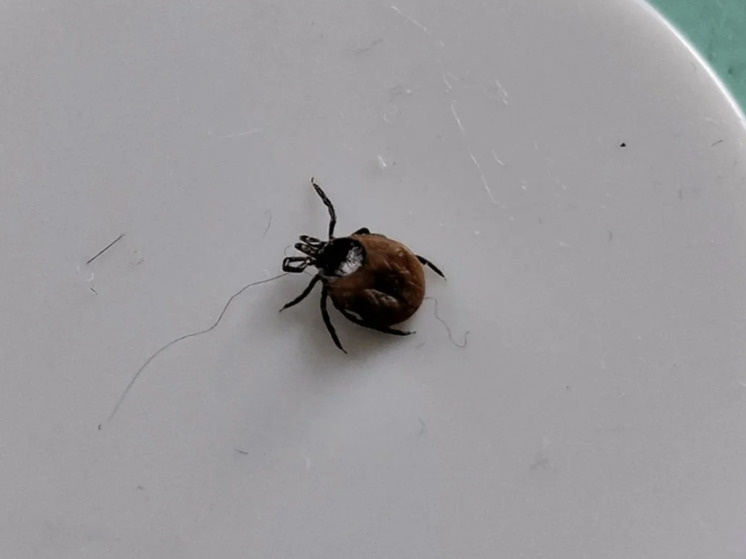     Фото «Подслушано Вельск»