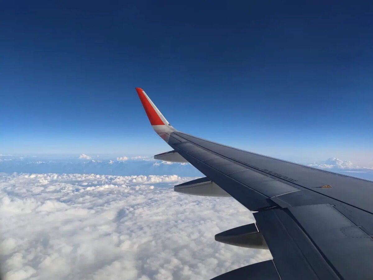    Источник: primamedia.ru/ Анна Сычева