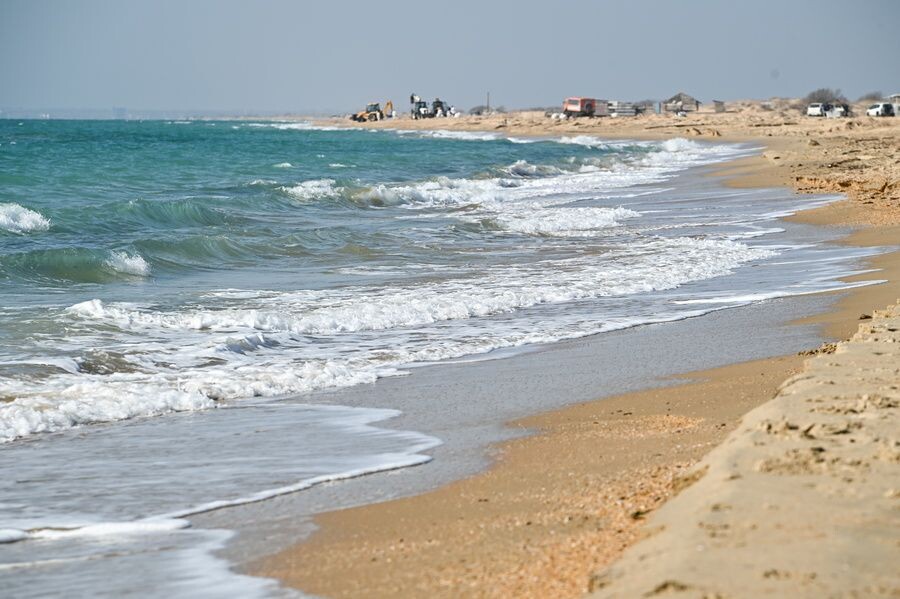     / Источник: © Игорь Онучин/ТАСС