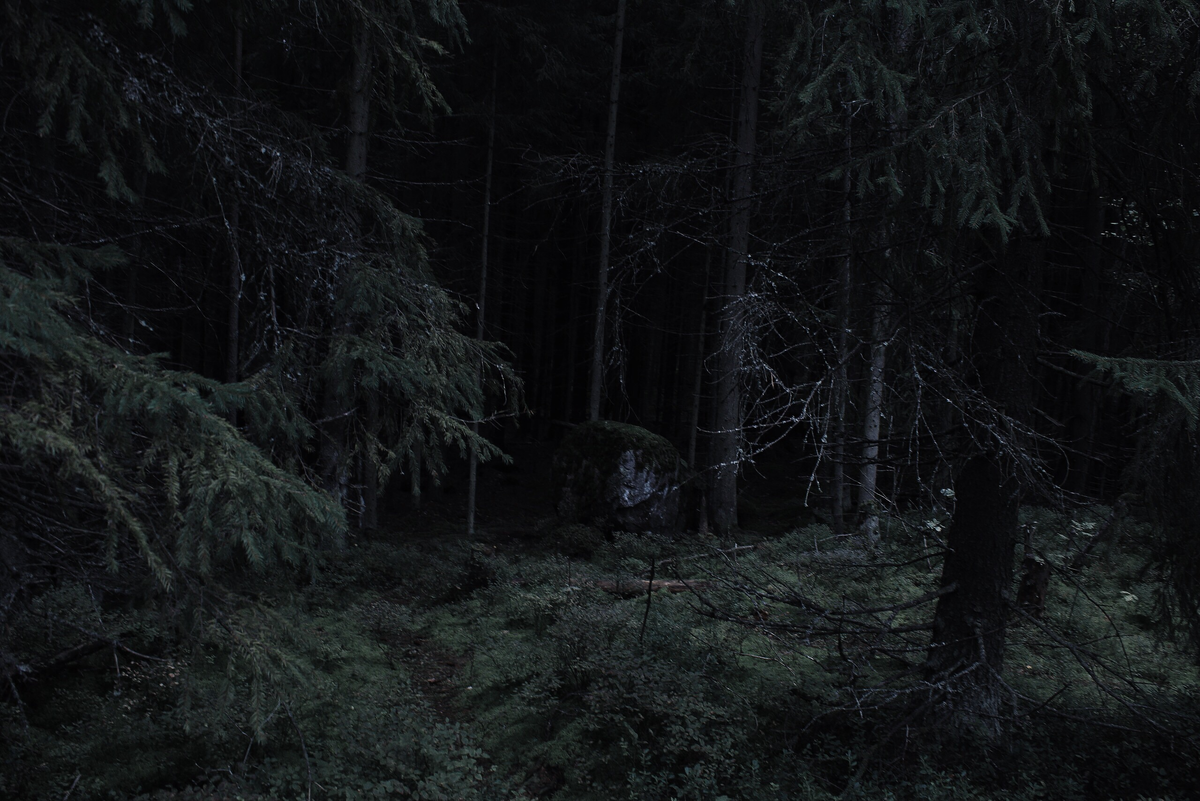 commons.wikimedia.org