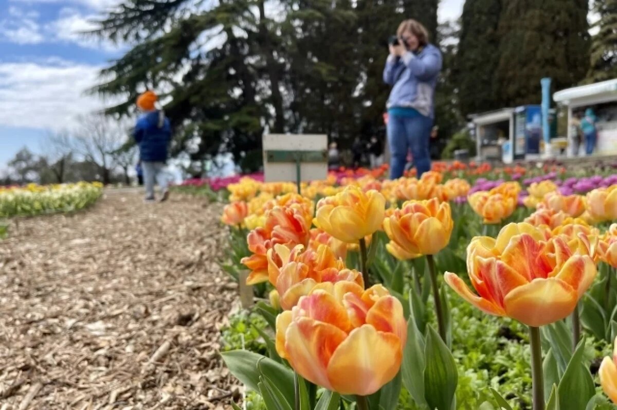    В Никитском ботаническом саду открылся 19-й парад тюльпанов