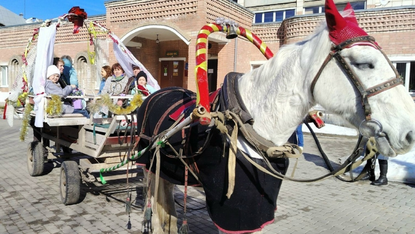    Фото: ЗАГС Костромской области