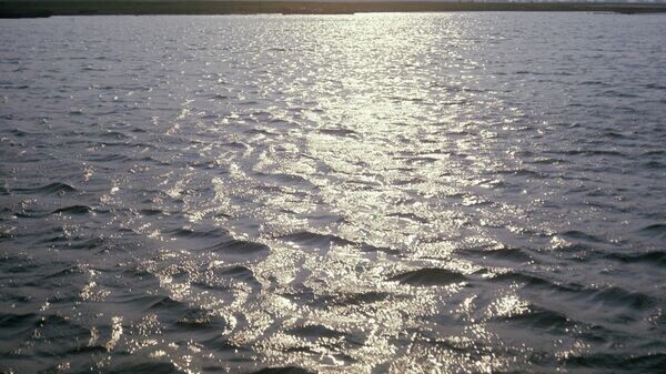    © Sputnik / Андрей Соломонов