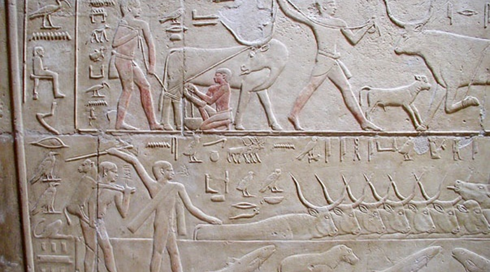 Лекция 5-ПЭ. Политическая экология аграрных обществ.