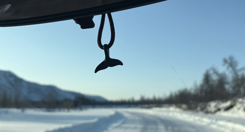 И замаячило впереди новое путешествие.