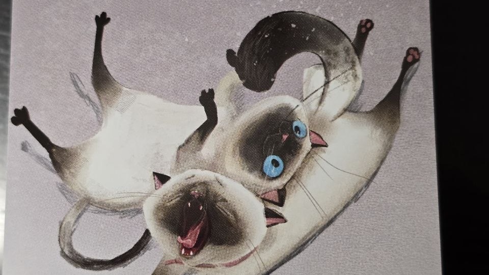 Мой календарик предложил сегодня поучиться лениться у котиков