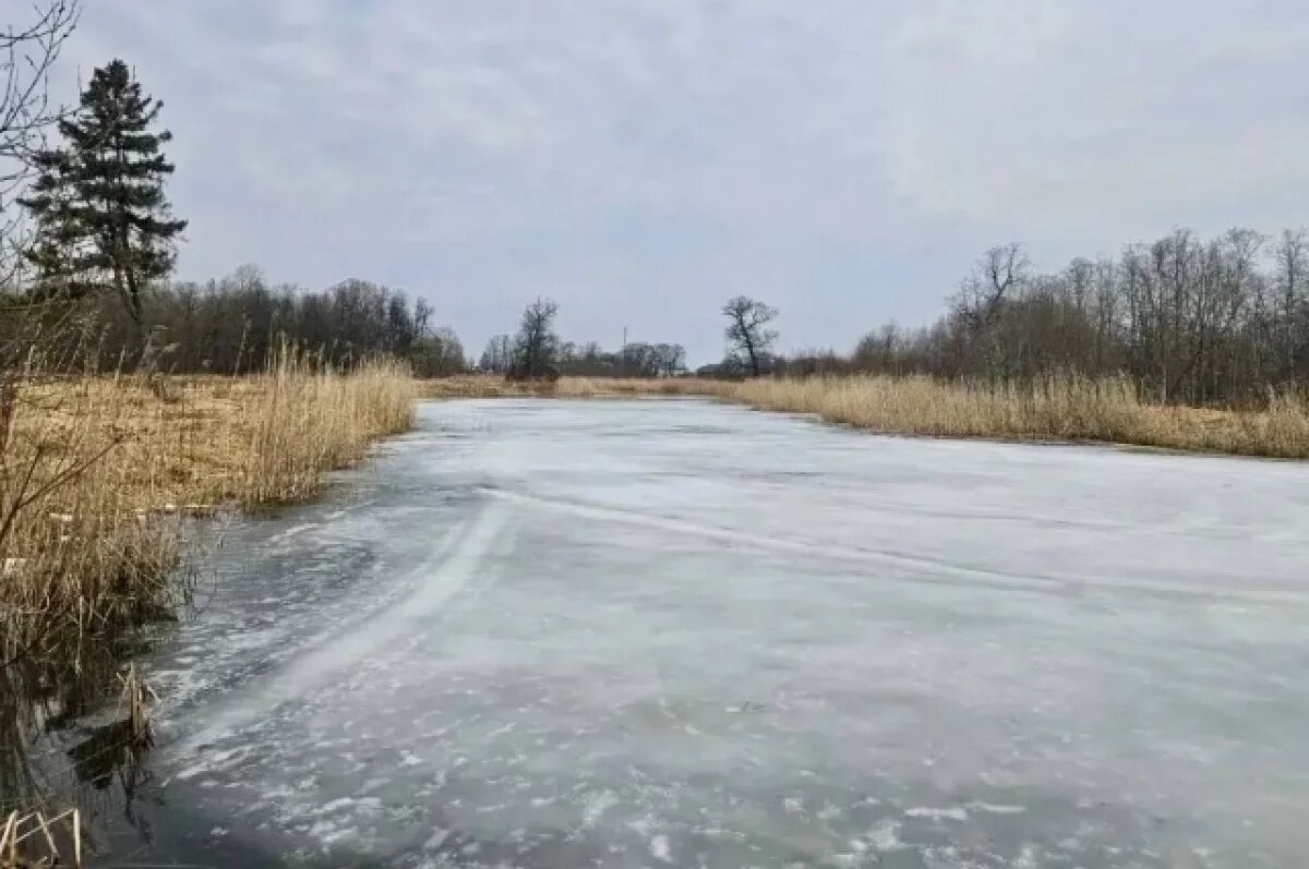    Парк бывшей усадьбы прадеда Пушкина перейдёт в ведение Ленобласти