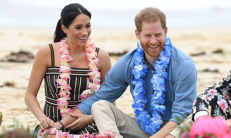 «Мы не уверены, чего эта петиция хочет добиться»: принц Гарри и Меган Маркл осудили петицию, подписанную 35 000 человек