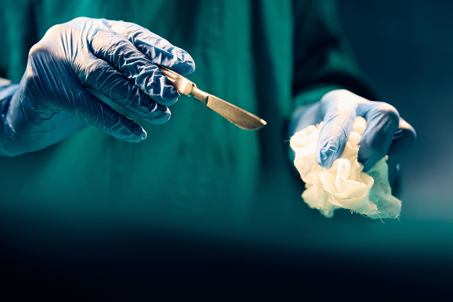    Shutterstock/FOTODOM