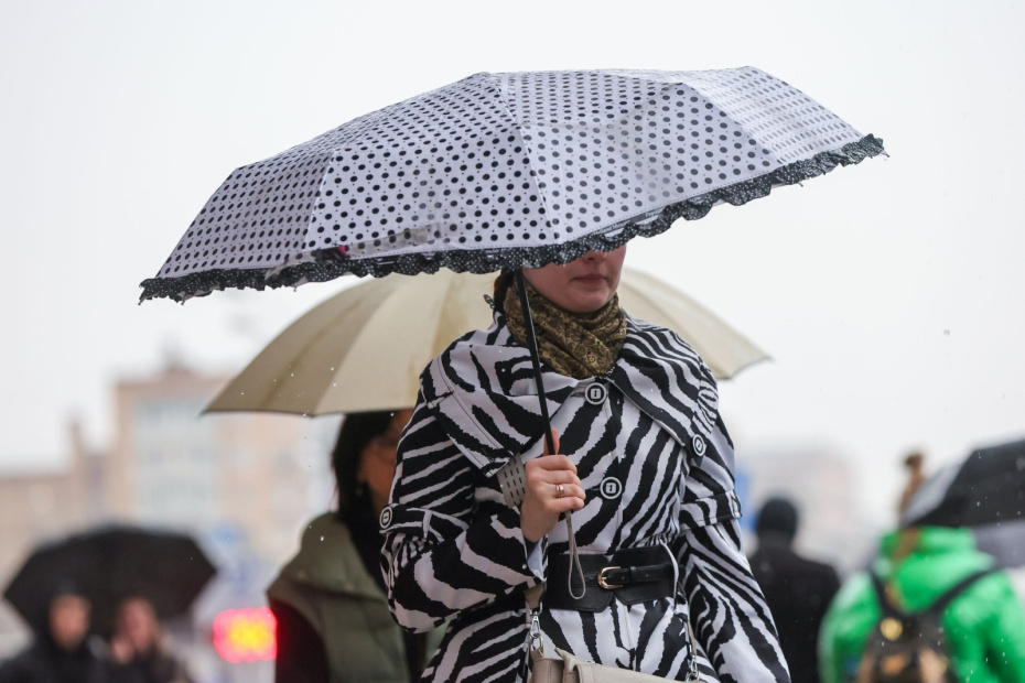    Алексей Белкин/NEWS.ru