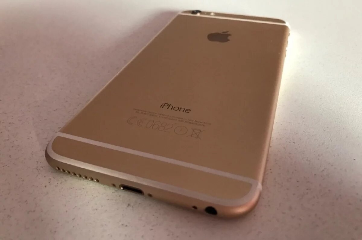    В Новосибирской области появился новый сервис на Госуслугах