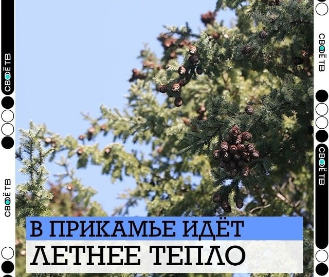 🌡 ВЕСНА СТАВИТ РЕКОРДЫ