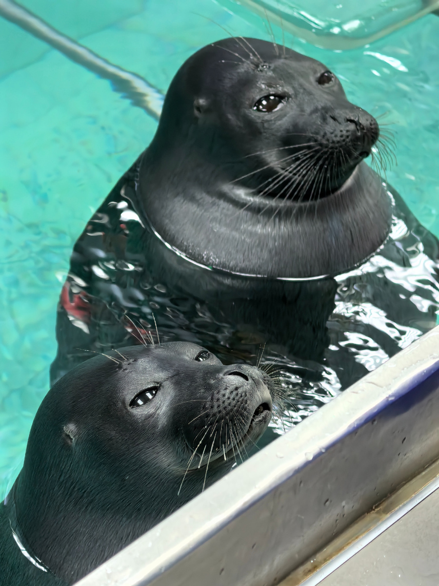 (© Анна, «Маяк энтузиастов»)