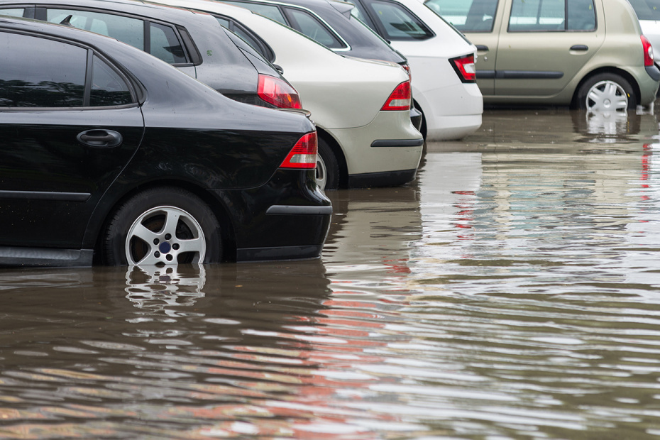    Shutterstock/FOTODOM