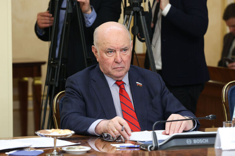   Денис Вышинский/Пресс-служба Совета Федерации