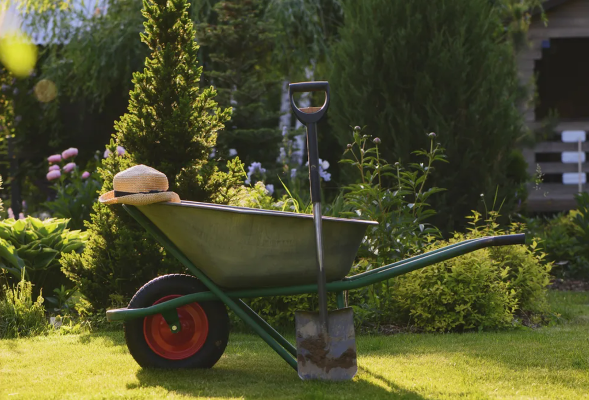 Источник фото: m.sport-express.ru