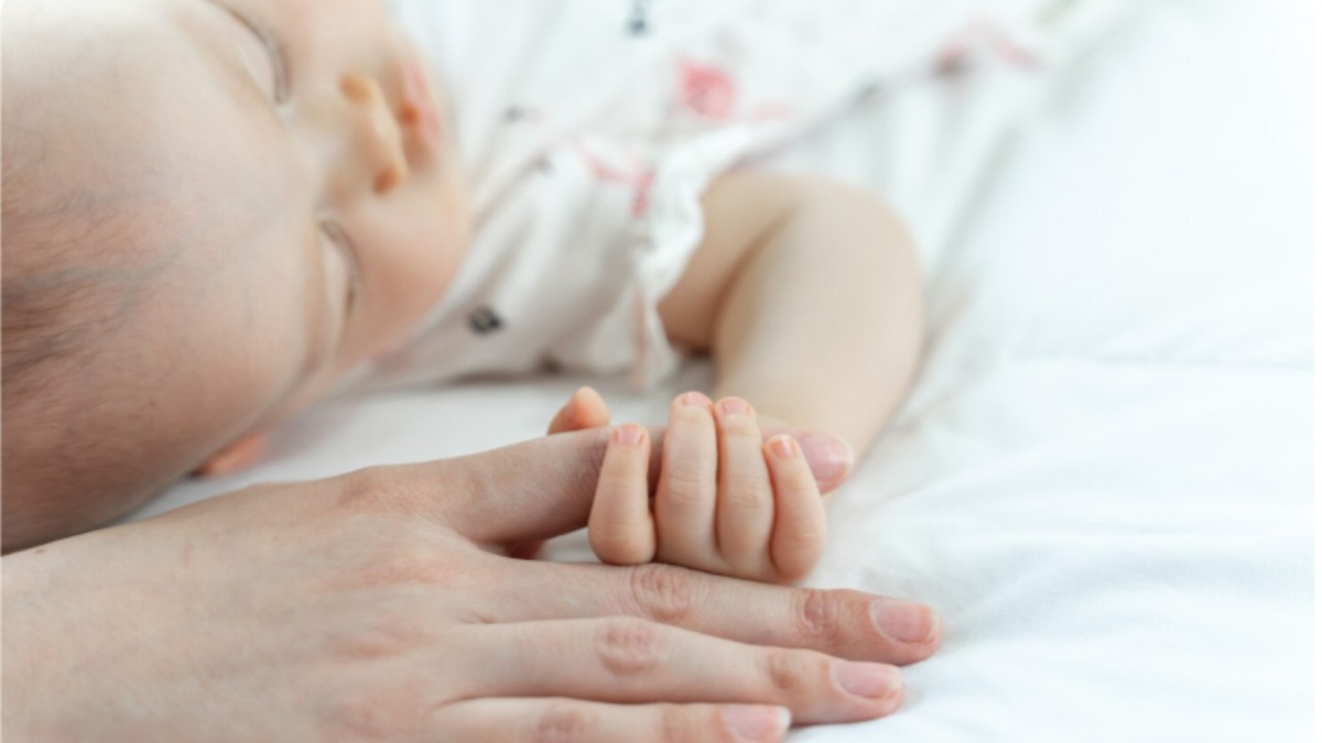 Фото: freepik.com/author/jcomp