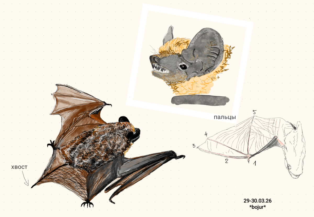 Ох и долго я работала над этим коллажем. Новый интересный опыт, как и зверь, которого рисовала впервые! Правда видела вблизи и даже гладила тоже впервые.