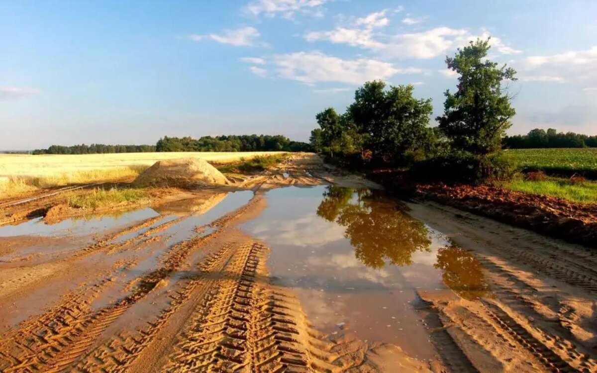    Гендиректора дорожной фирмы заподозрили в хищении 300 млн рублей по нацпроекту в Липецкой области Фото – ru.freepik.com