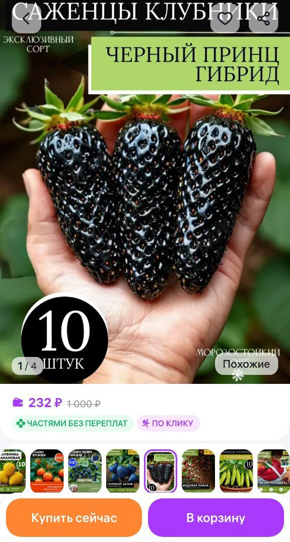    Скриншот: wildberries.ru