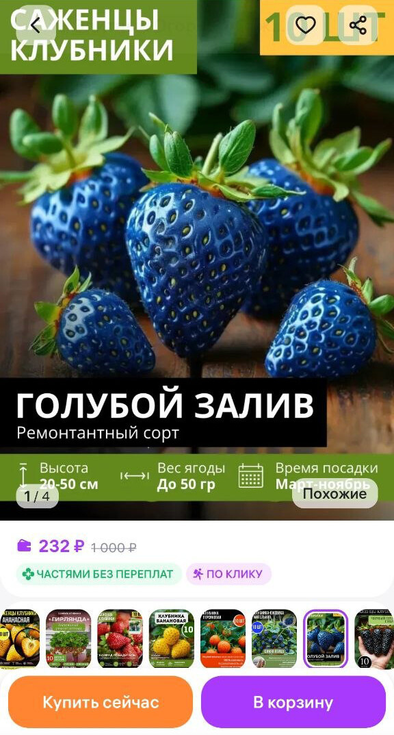    Скриншот: wildberries.ru