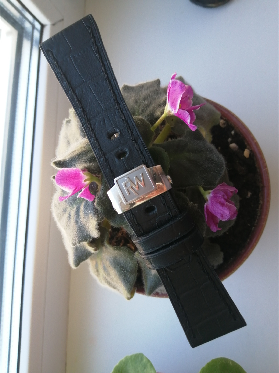 Фотографии автора 