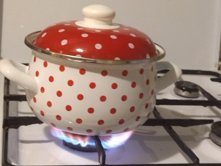     В Боровичском округе провели газ в усадьбу Жадины и подключили первые четыре домовладения. фото: архив МК в Великом Новгороде