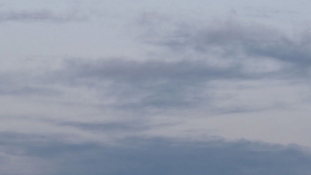    Фото: телеканал «Краснодар»