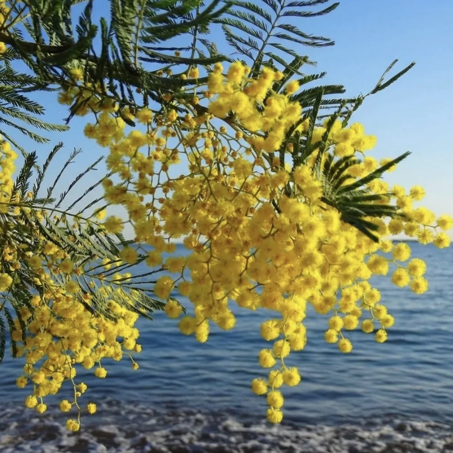 Что-то на весеннем...