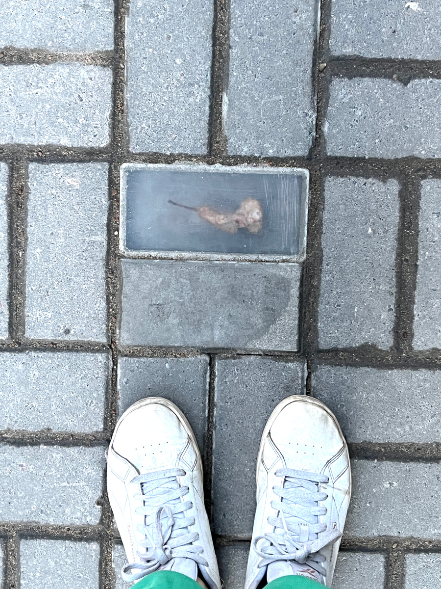 Арт-плитки в Петербурге 