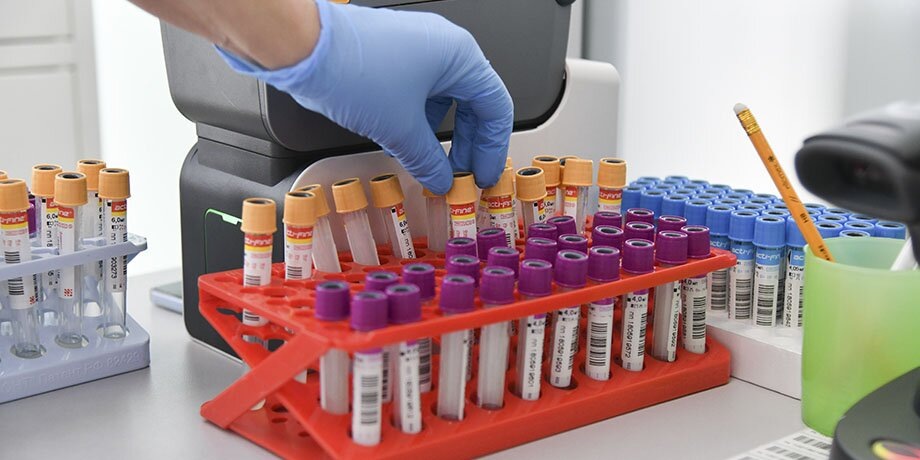    Фото: Москва 24/Антон Великжанин