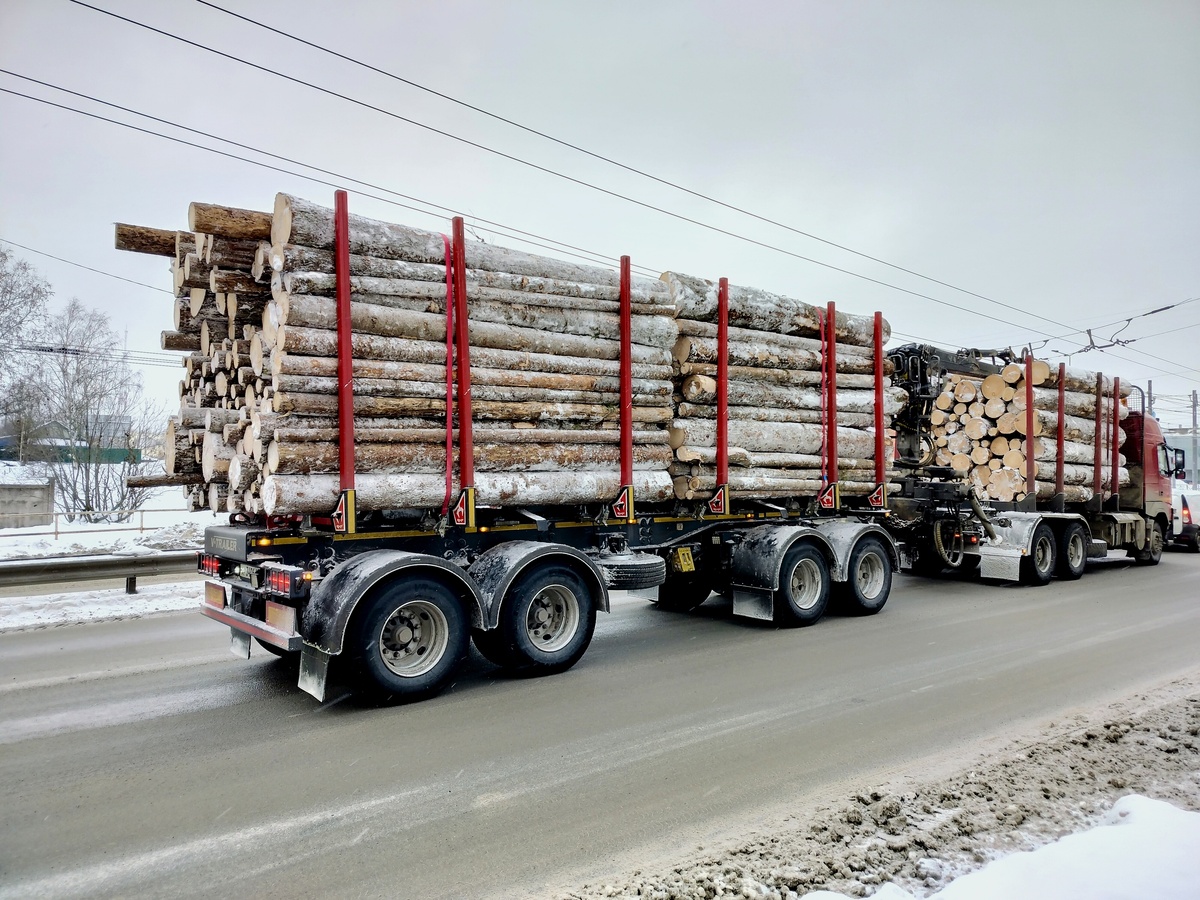    фото: © Людмила Корвякова, "Столица на Онего"