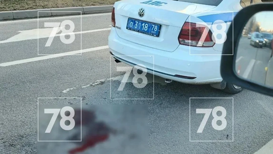    Полицейский сбил беременную в Приморском районе Петербурга Автор фото: 78.ru