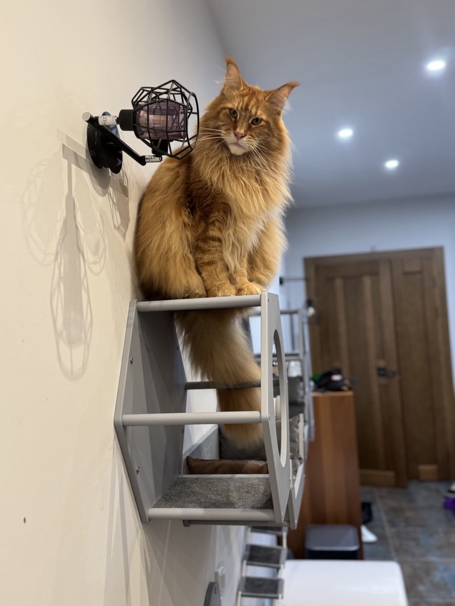 Утреннее приветствие от Ричарда. Фото автора.