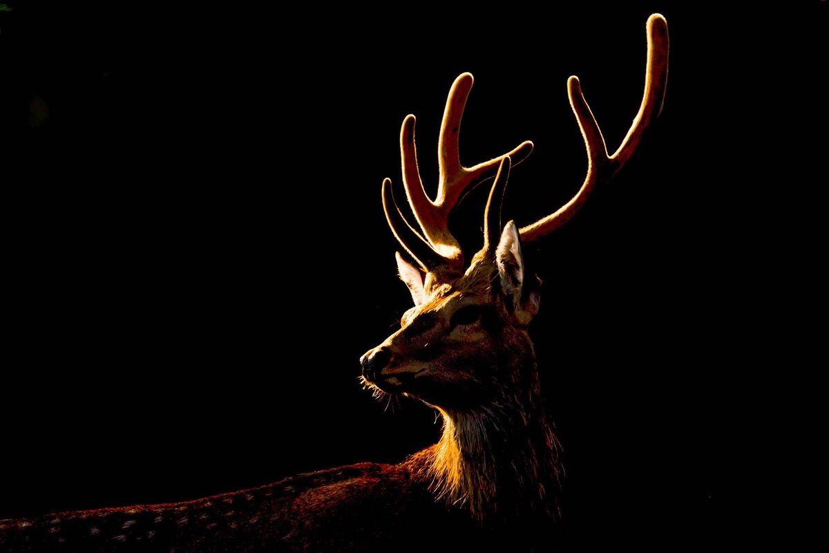  © Юрий Смитюк / ТАСС