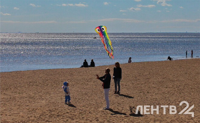    © Анастасия Илюшина / ЛенТВ24, архивное фото