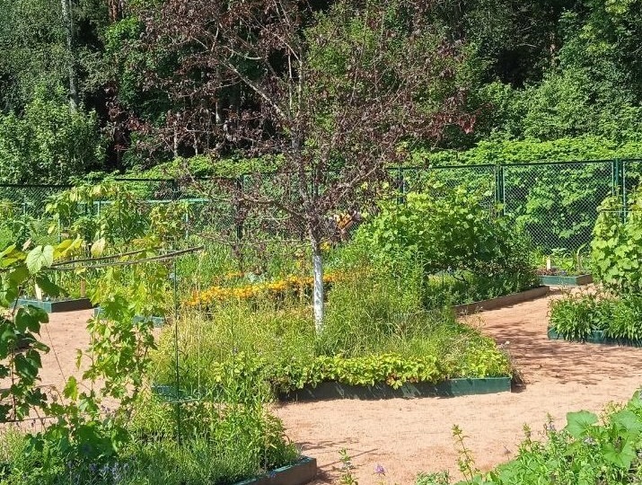 🌸🌸Если вы только начинаете свой путь в огородничестве, самое время составить список культур для будущего урожая