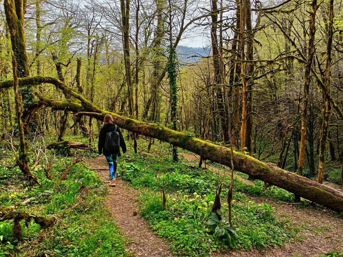 Реклама Flight Marketplace Admin FZE 9909618947  