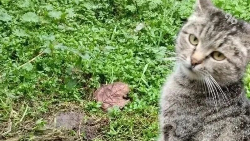      Фото: ПАСС СК