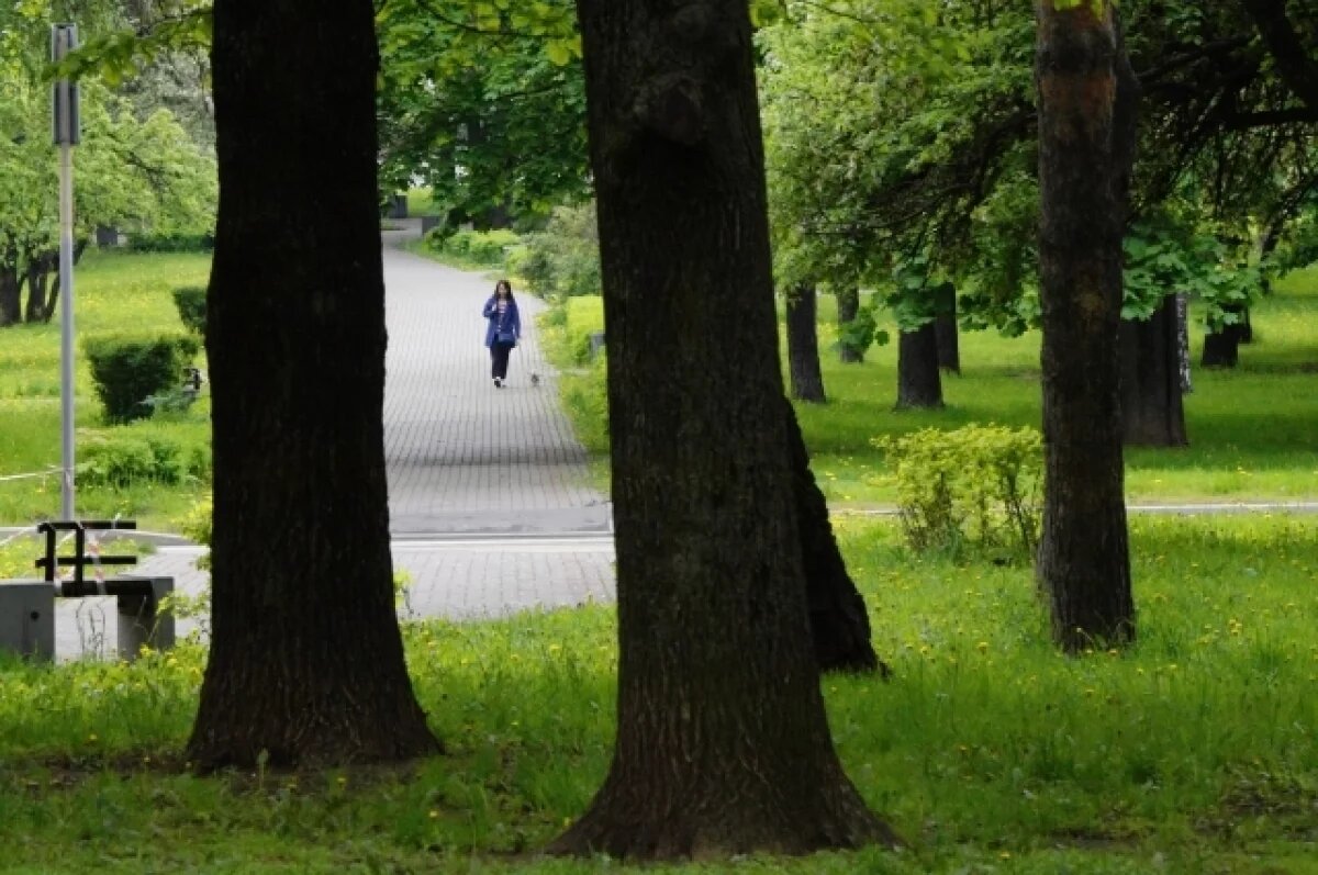    Сергей Собянин сообщил о планах развития столичных парков в 2026 году